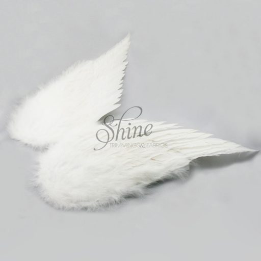 feather wings
