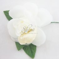 Velvet and Silk Rose