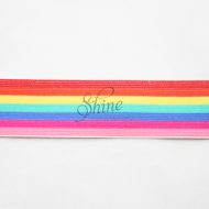 Belting Elastic Rainbow Stripes 38mm
