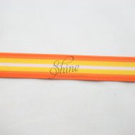 Belting Elastic Citrus Stripes 25mm