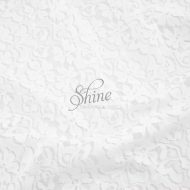 Stretch Lace Winter White