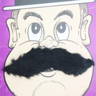 Mario Fake Moustache