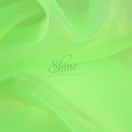 Glass Organza Fluro Green