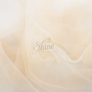 Bridal Tulle Skintone