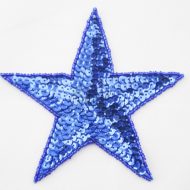 Star Sequin Motif – Large