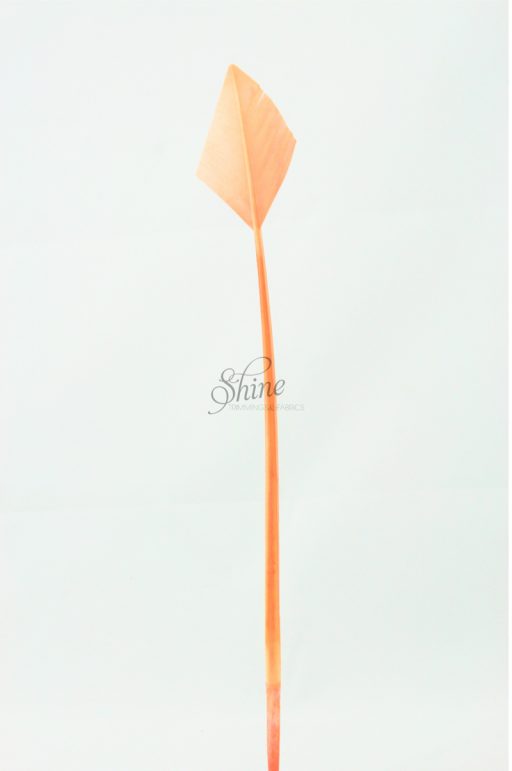 Arrow Head Feather Peach