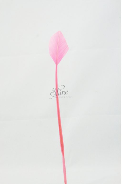 Arrow Head Feather Pale Pink