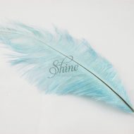 Blondine Feather Baby Blue