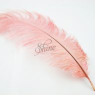 Blondine Feather Dusty Pink