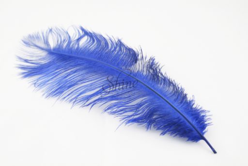 Blondine Feather Electric Blue