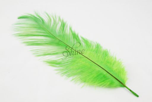 Blondine Feather Lime Green