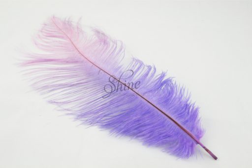 Blondine Feather Lavender
