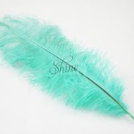 Blondine Feather Mint Green