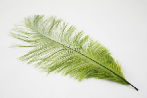 Blondine Feather Olive Green