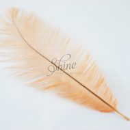 Blondine Feather Peach