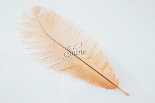 Blondine Feather Peach