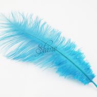 Blondine Feather Peacock