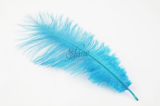 Blondine Feather Peacock