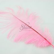 Blondine Feather Pale Pink