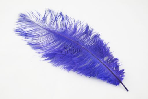 Blondine Feather Purple