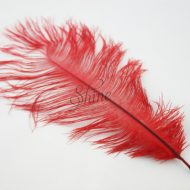 Blondine Feather Red