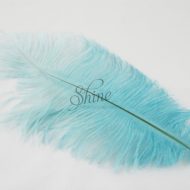 Blondine Feather Turquoise