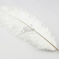 Blondine Feather White
