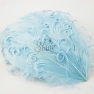 Curly Hackle Pad Baby Blue