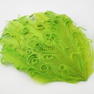 Curly Hackle Pad Lime Green