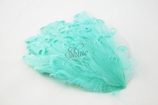 Curly Hackle Pad Mint Green