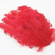 Curly Hackle Pad Red