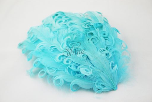 Curly Hackle Pad Turquoise