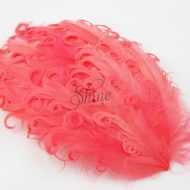 Curly Hackle Pad Watermelon