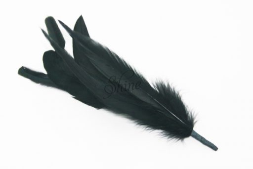 Cocktail Feather Spike Black