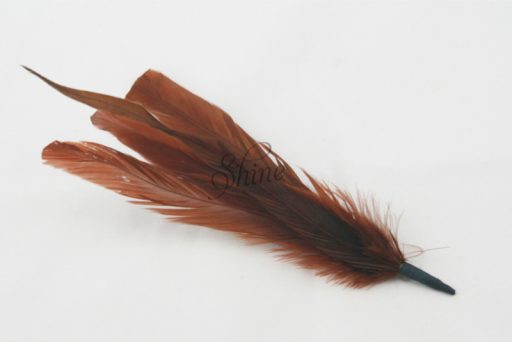 Cocktail Feather Spike Brown
