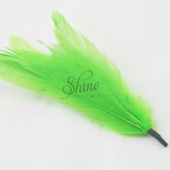 Cocktail Feather Spike Lime Green