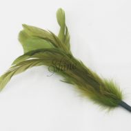 Cocktail Feather Spike Olive Green