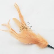 Cocktail Feather Spike Peach