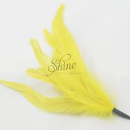 Cocktail Feather Spike Yellow