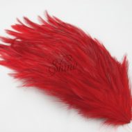 Large Hackle Pad Red