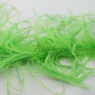 Ostrich Boa (2 Ply) Lime Green