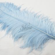 Ostrich Plume Baby Blue