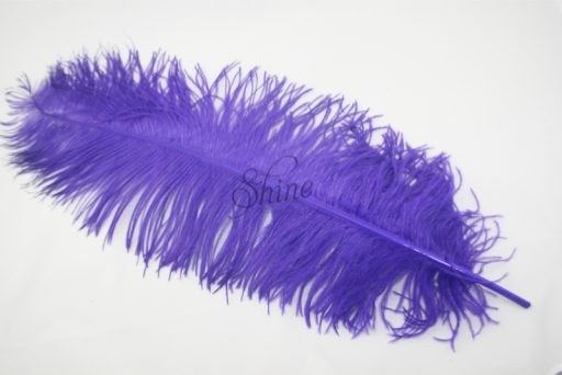 Ostrich Plume Purple