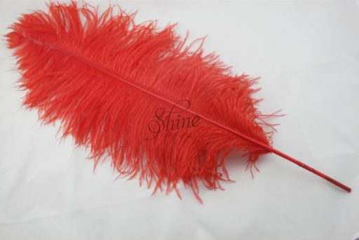 Ostrich Plume Red