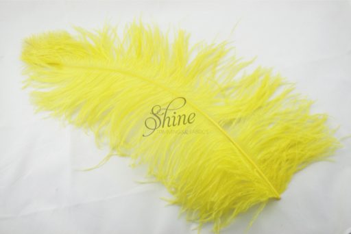 Ostrich Plume Yellow