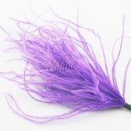Ostrich Tuft Lavender