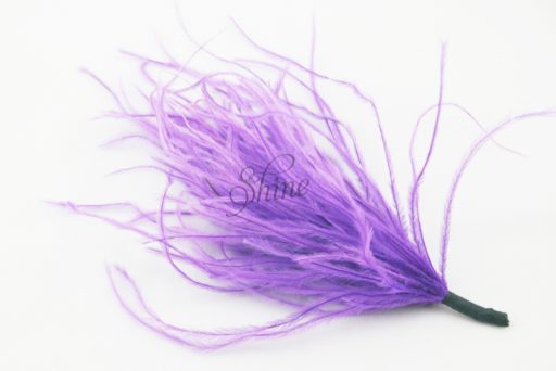 Ostrich Tuft Lavender