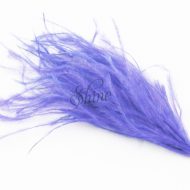 Ostrich Tuft Purple