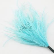 Ostrich Tuft Turquoise