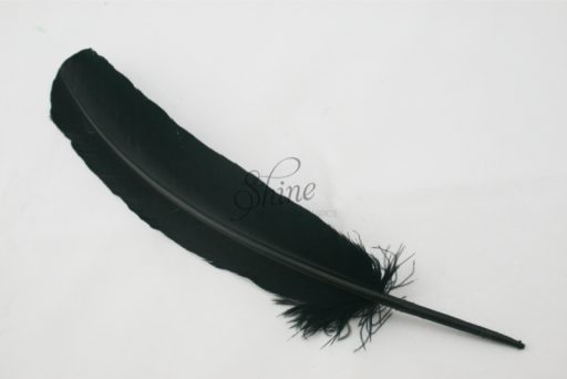 Single Feather Black